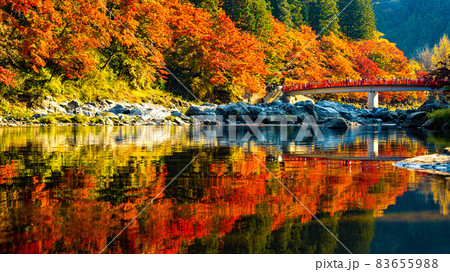 数多くのカエデやモミジが真っ赤に染まる美しい足助の紅葉 83655988