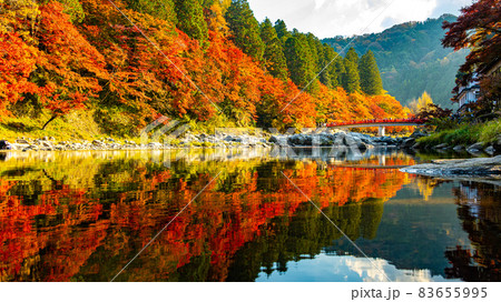 数多くのカエデやモミジが真っ赤に染まる美しい足助の紅葉 83655995