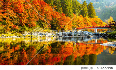 数多くのカエデやモミジが真っ赤に染まる美しい足助の紅葉 83655996