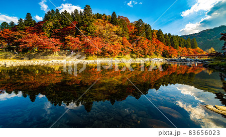 数多くのカエデやモミジが真っ赤に染まる美しい足助の紅葉 数多くのカエデやモミジが真っ赤に染まる美しい足助の紅葉 83656023