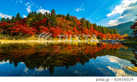 数多くのカエデやモミジが真っ赤に染まる美しい足助の紅葉 数多くのカエデやモミジが真っ赤に染まる美しい足助の紅葉 83656024
