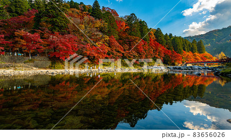 数多くのカエデやモミジが真っ赤に染まる美しい足助の紅葉 83656026