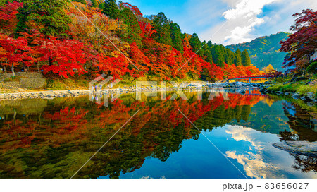 数多くのカエデやモミジが真っ赤に染まる美しい足助の紅葉 83656027
