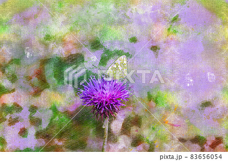 A butterfly pollinating a lilac flower. Single thistle flower and insect against a blurred background. A butterfly pollinating a lilac flower. Single thistle flower and insect against a blurred background. 83656054