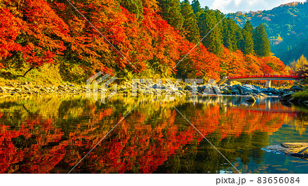 数多くのカエデやモミジが真っ赤に染まる美しい足助の紅葉 83656084