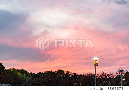 大阪の夕日 83656734