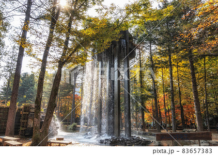Elysian Waterfall in Nami Island 83657383
