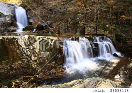 波 森林 水流 83658118
