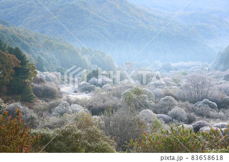自然 秋 山 83658618