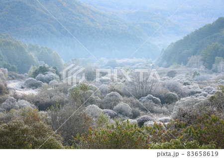 自然 秋 山 83658619