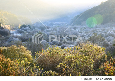 自然 秋 山 83658696