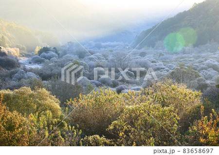 自然 秋 山 83658697