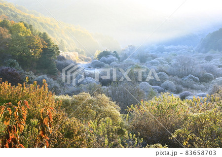 自然 秋 山 83658703