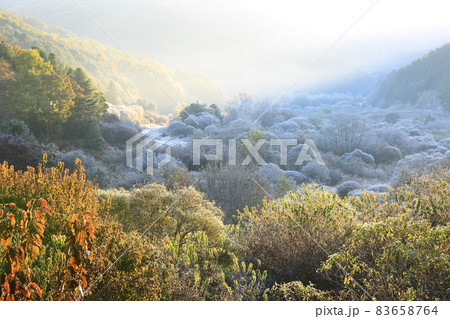 山 霧氷 霧 83658764