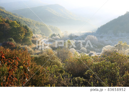 自然 秋 山 83658952