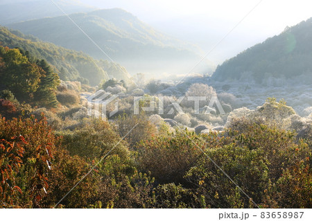 自然 秋 山 83658987