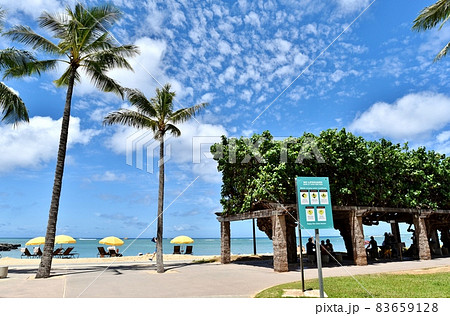 ハワイの休日 83659128