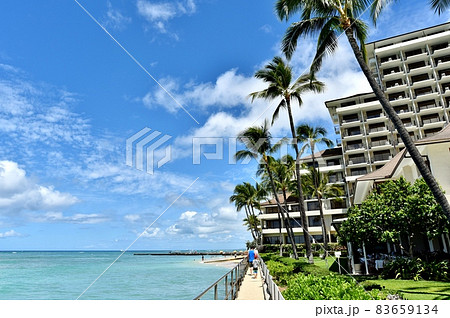ハワイの休日 ハワイの休日 83659134