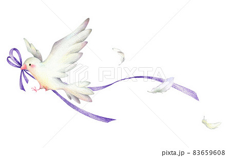 紫のリボンをくわえて羽ばたく白い鳥と舞う羽 手描き色鉛筆画のイラスト素材