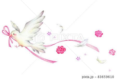 ピンクのリボンをくわえて羽ばたく白い鳥と舞う羽と花 手描き色鉛筆画のイラスト素材