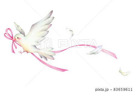 ピンクリボンをくわえて羽ばたく白い鳥と舞う羽 手描き色鉛筆画のイラスト素材