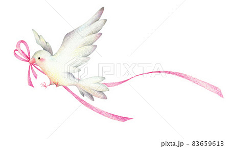 ピンクのリボンをくわえた白い鳥 手描き色鉛筆画のイラスト素材