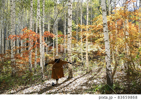 森 自然 樹木 83659868