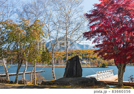 紅葉の白樺湖と石碑 紅葉の白樺湖と石碑 83660356