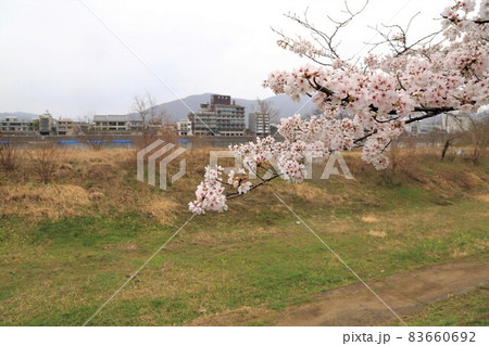 岐阜散策・100(岐阜県岐阜市) 岐阜散策・100(岐阜県岐阜市) 83660692