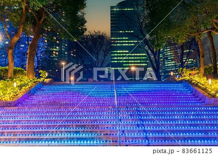 イルミネーションの新宿中央公園 東京夜景 イルミネーションの新宿中央公園 東京夜景 83661125