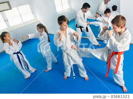 Teenagers practicing new karate moves in pairs in class Teenagers practicing new karate moves in pairs in class 83661321