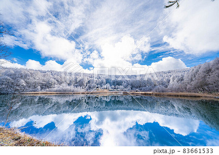 【冬素材】聖高原の霧氷とリフレクション【長野県】 【冬素材】聖高原の霧氷とリフレクション【長野県】 83661533