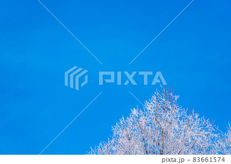 【冬素材】聖高原の霧氷とリフレクション【長野県】 83661574