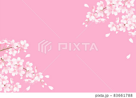 春の桜のピンク背景のベクターイラスト 83661788