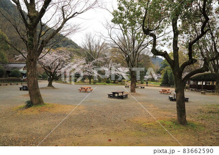 岐阜散策・123(岐阜県岐阜市) 岐阜散策・123(岐阜県岐阜市) 83662590