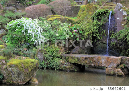 岐阜散策（岐阜県岐阜市） 83662601