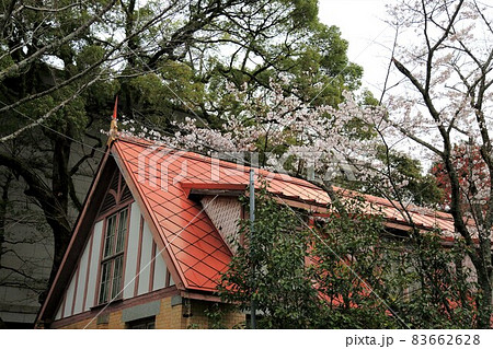 岐阜散策・143（岐阜県岐阜市） 83662628