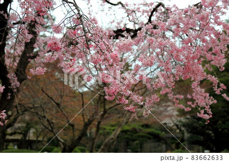 岐阜散策・146（岐阜県岐阜市） 83662633