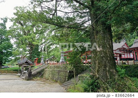 蒲生八幡神社の境内 蒲生八幡神社の境内 83662664