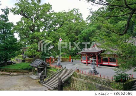 蒲生八幡神社の境内 蒲生八幡神社の境内 83662666