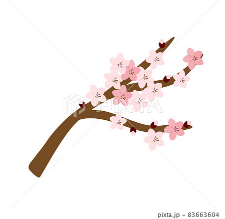 かわいい桜の木の枝のベクターイラストのイラスト素材