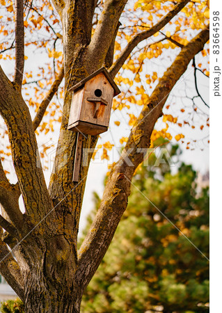 birdhouse on an autumn tree. the beauty of nature and the care of birds.  83664598
