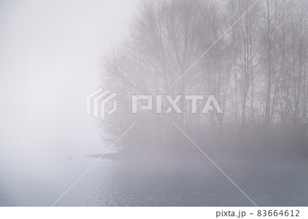 Thick fog over lake in early autumn morning, bare trees silhouetted in the haze Thick fog over lake in early autumn morning, bare trees silhouetted in the haze 83664612