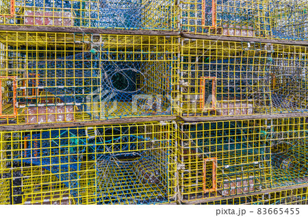 Empty stacked lobster traps on a dock in Maine 83665455