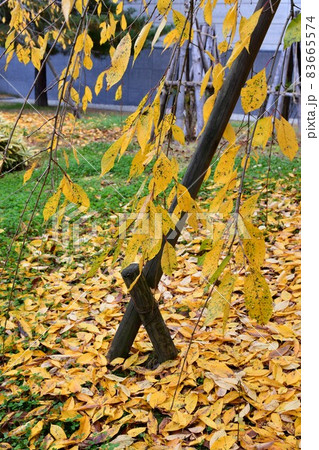 上杉神社　上杉記念館　松岬神社 83665574