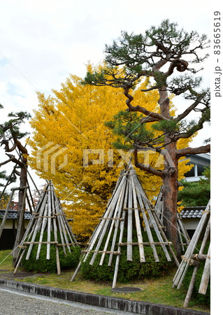 上杉神社　上杉記念館　松岬神社 83665619