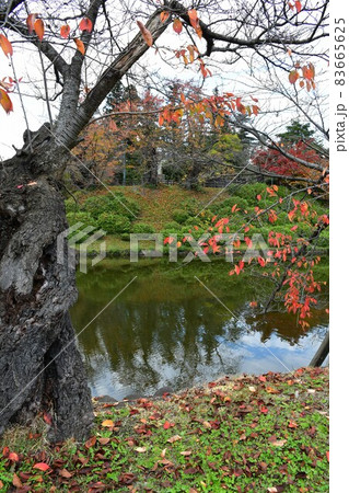 上杉神社 上杉記念館 松岬神社 上杉神社 上杉記念館 松岬神社 83665625