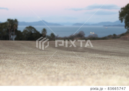 海の見える冬の夕暮れゴルフコース 海の見える冬の夕暮れゴルフコース 83665747