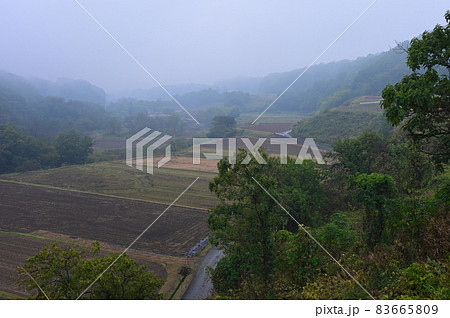 霧の里山風景《北杜市》 83665809