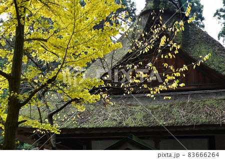 熊野大社 東北の伊勢 日本三熊野 熊野大社 東北の伊勢 日本三熊野 83666264